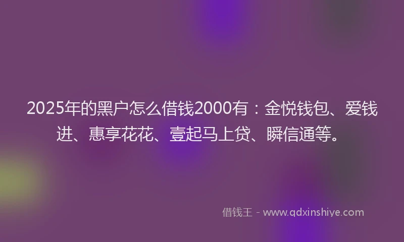 2025年的黑户怎么借钱2000有：金悦钱包、爱钱进、惠享花花、壹起马上贷、瞬信通等。