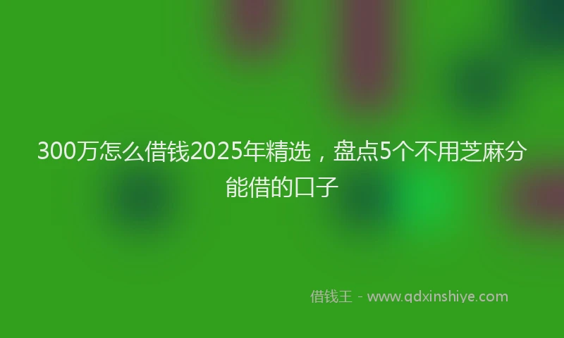 300万怎么借钱2025年精选，盘点5个不用芝麻分能借的口子