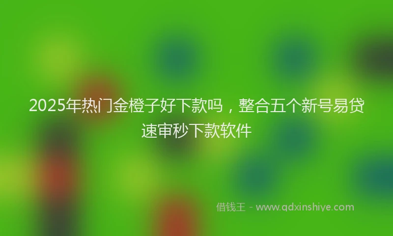 2025年热门金橙子好下款吗，整合五个新号易贷速审秒下款软件