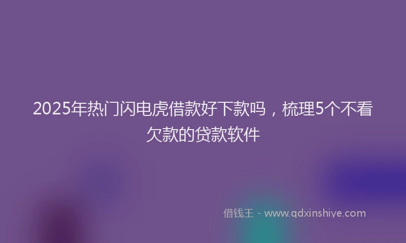 2025年热门闪电虎借款好下款吗，梳理5个不看欠款的贷款软件
