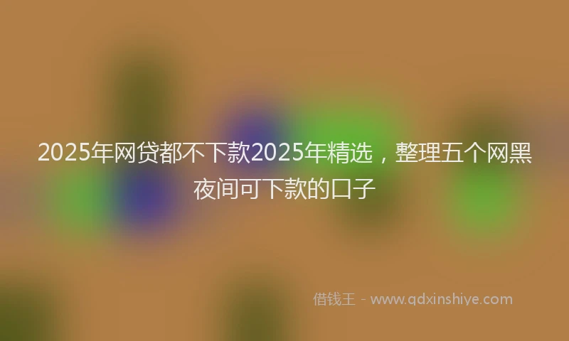 2025年网贷都不下款2025年精选，整理五个网黑夜间可下款的口子