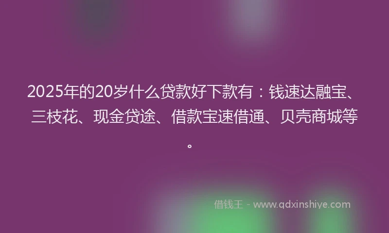 2025年的20岁什么贷款好下款有：钱速达融宝、三枝花、现金贷途、借款宝速借通、贝壳商城等。