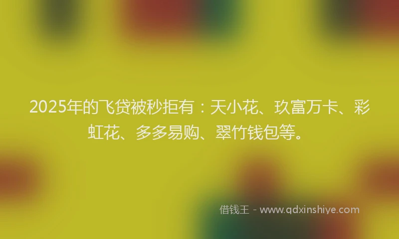 2025年的飞贷被秒拒有：天小花、玖富万卡、彩虹花、多多易购、翠竹钱包等。