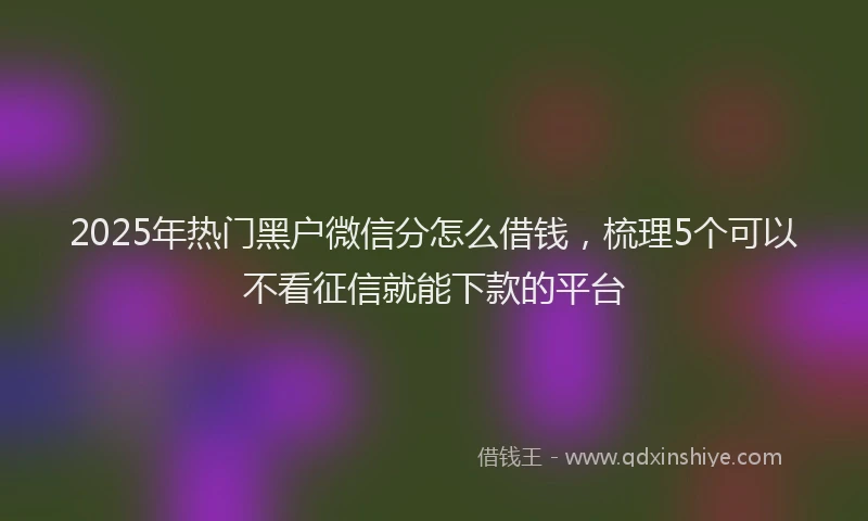 2025年热门黑户微信分怎么借钱，梳理5个可以不看征信就能下款的平台