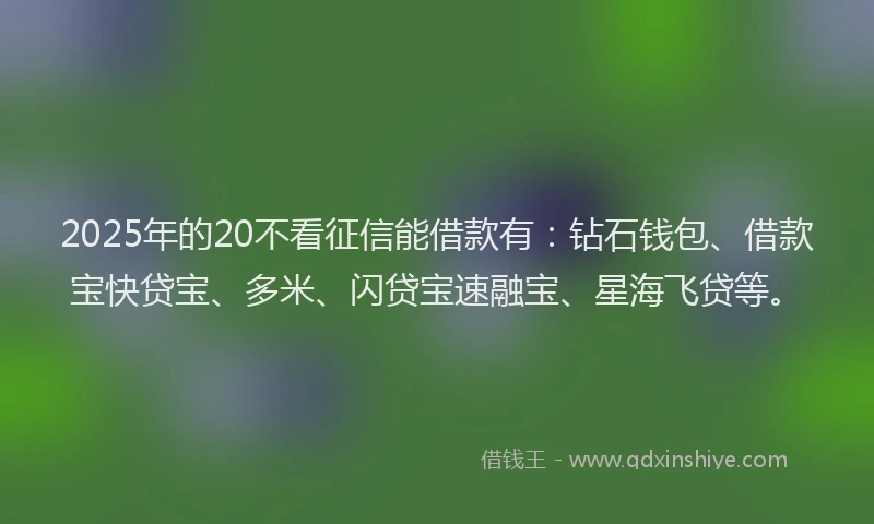 2025年的20不看征信能借款有：钻石钱包、借款宝快贷宝、多米、闪贷宝速融宝、星海飞贷等。