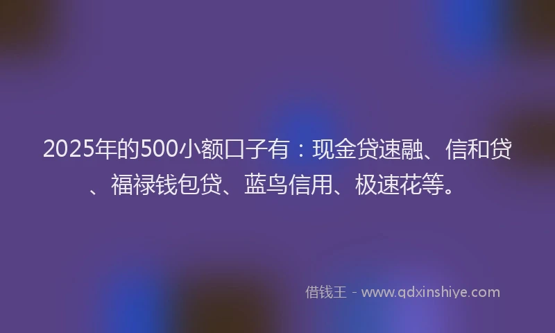 2025年的500小额口子有：现金贷速融、信和贷、福禄钱包贷、蓝鸟信用、极速花等。