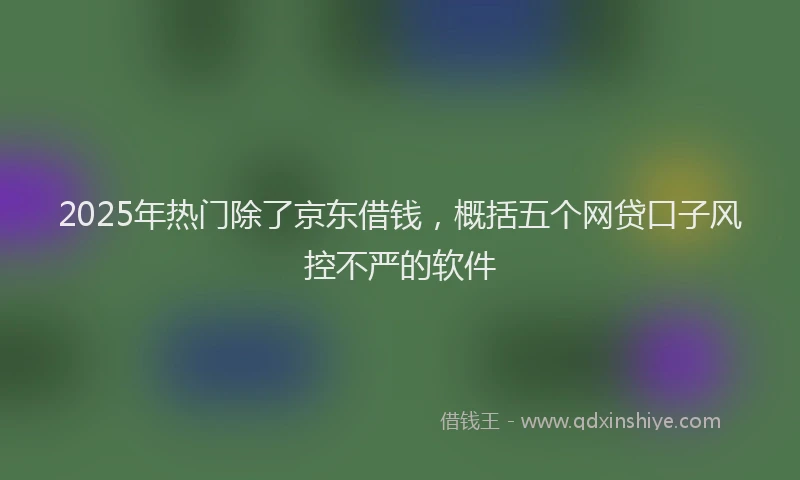 2025年热门除了京东借钱，概括五个网贷口子风控不严的软件