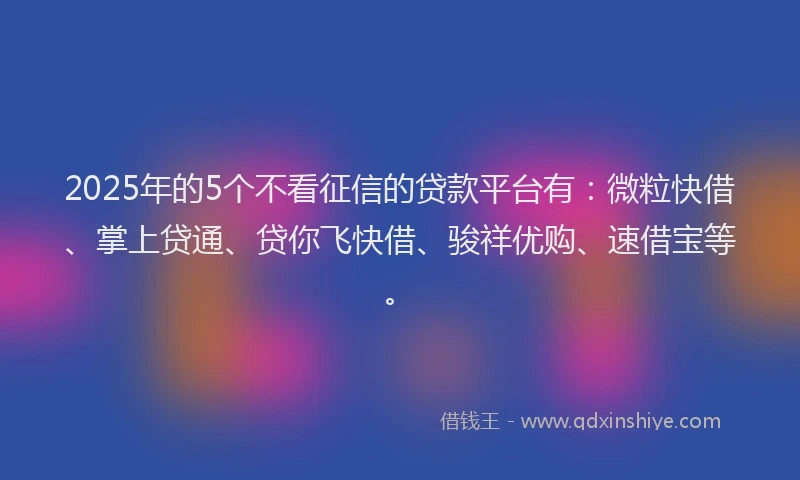 2025年的5个不看征信的贷款平台有：微粒快借、掌上贷通、贷你飞快借、骏祥优购、速借宝等。