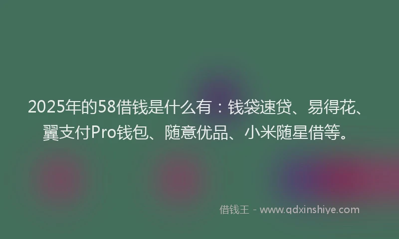 2025年的58借钱是什么有：钱袋速贷、易得花、翼支付Pro钱包、随意优品、小米随星借等。