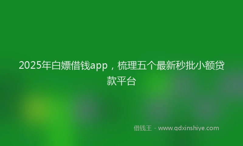 2025年白嫖借钱app，梳理五个最新秒批小额贷款平台