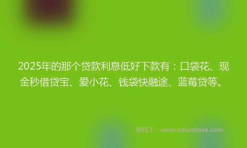 2025年的那个贷款利息低好下款有：口袋花、现金秒借贷宝、爱小花、钱袋快融途、蓝莓贷等。
