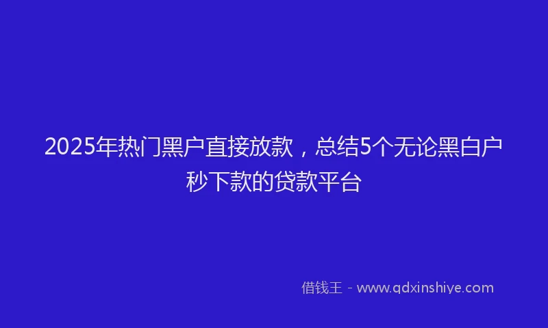 2025年热门黑户直接放款，总结5个无论黑白户秒下款的贷款平台