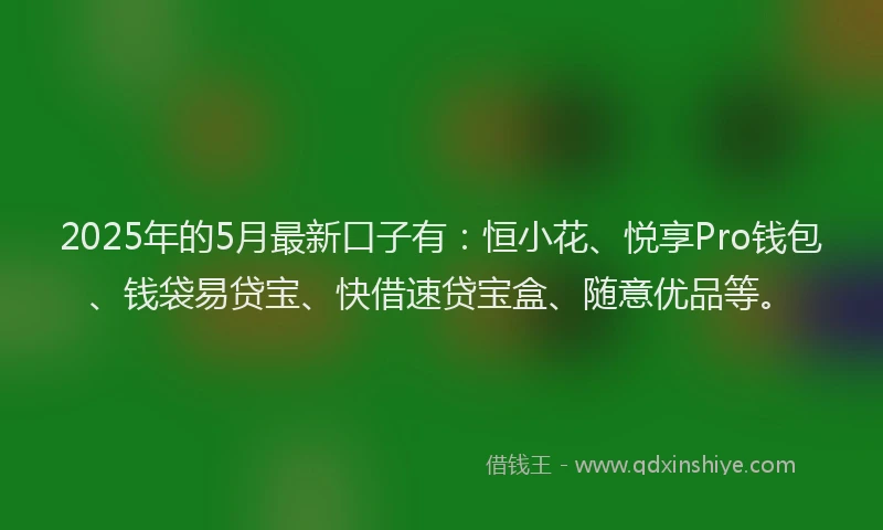 2025年的5月最新口子有：恒小花、悦享Pro钱包、钱袋易贷宝、快借速贷宝盒、随意优品等。