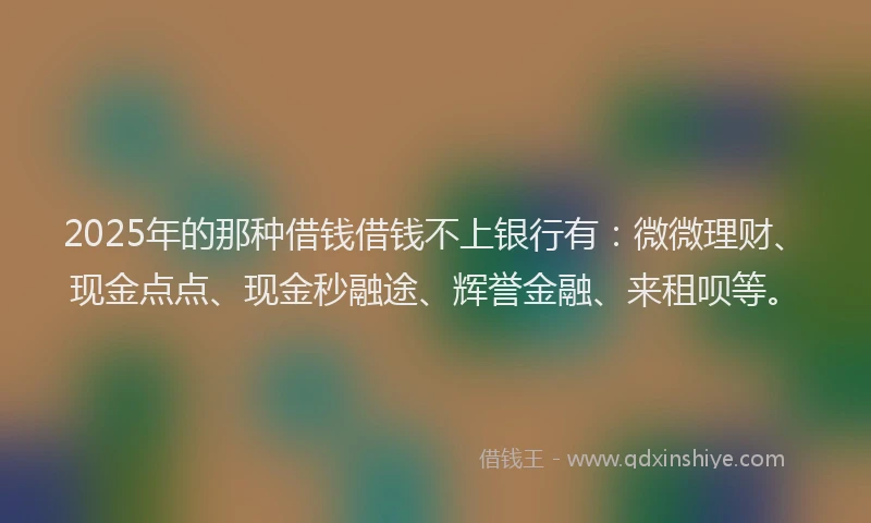 2025年的那种借钱借钱不上银行有：微微理财、现金点点、现金秒融途、辉誉金融、来租呗等。
