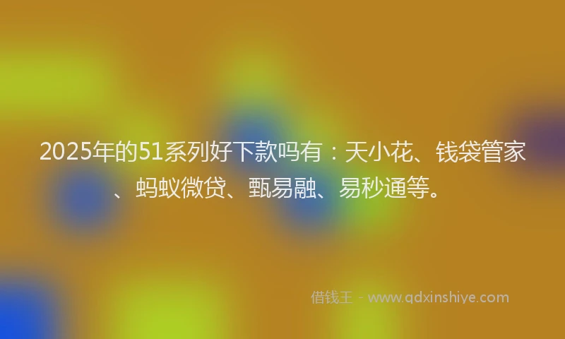 2025年的51系列好下款吗有：天小花、钱袋管家、蚂蚁微贷、甄易融、易秒通等。