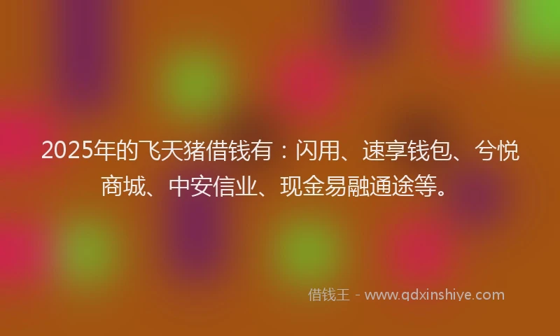 2025年的飞天猪借钱有：闪用、速享钱包、兮悦商城、中安信业、现金易融通途等。