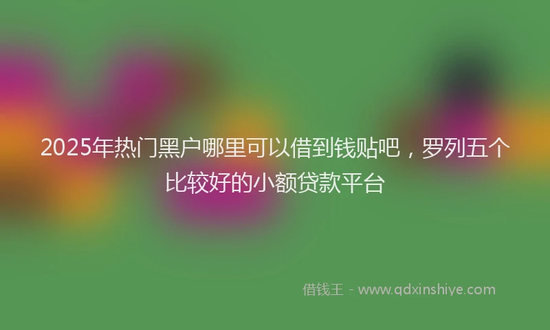 2025年热门黑户哪里可以借到钱贴吧，罗列五个比较好的小额贷款平台