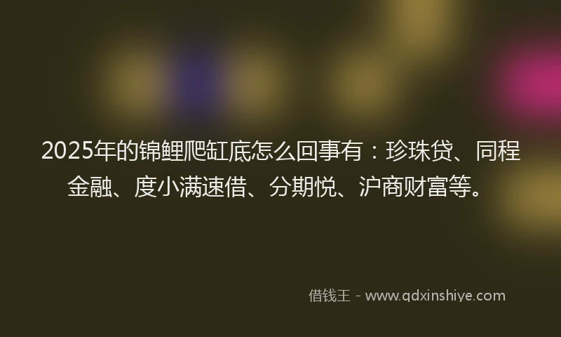 2025年的锦鲤爬缸底怎么回事有：珍珠贷、同程金融、度小满速借、分期悦、沪商财富等。