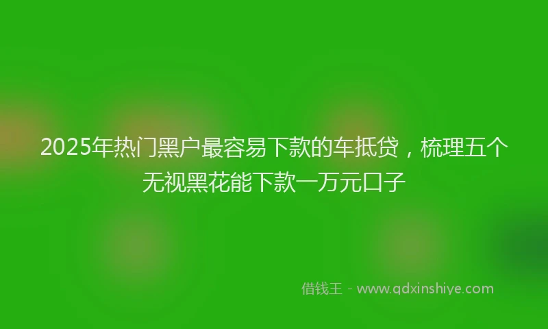 2025年热门黑户最容易下款的车抵贷，梳理五个无视黑花能下款一万元口子