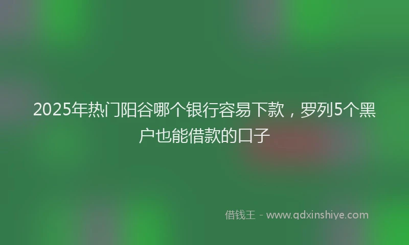 2025年热门阳谷哪个银行容易下款，罗列5个黑户也能借款的口子