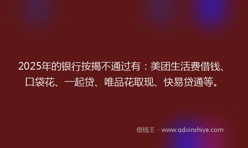 2025年的银行按揭不通过有:美团生活费借钱、口袋花、一起贷、唯品花取现、快易贷通等。