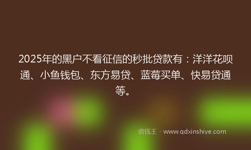 2025年的黑户不看征信的秒批贷款有：洋洋花呗通、小鱼钱包、东方易贷、蓝莓买单、快易贷通等。