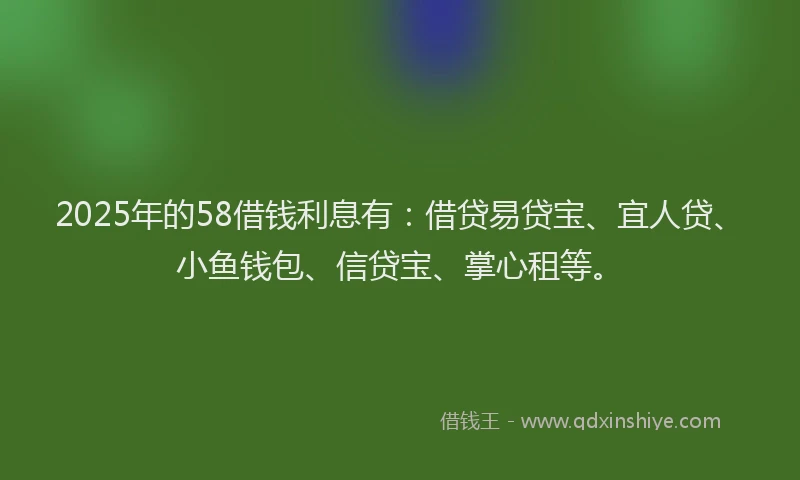 2025年的58借钱利息有：借贷易贷宝、宜人贷、小鱼钱包、信贷宝、掌心租等。