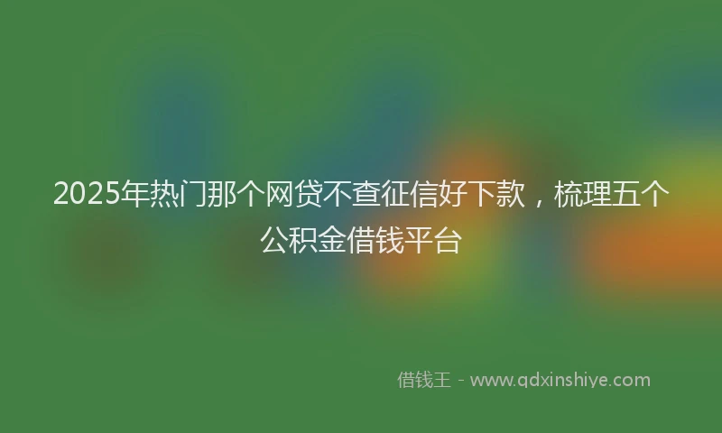 2025年热门那个网贷不查征信好下款，梳理五个公积金借钱平台