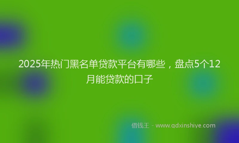 2025年热门黑名单贷款平台有哪些，盘点5个12月能贷款的口子