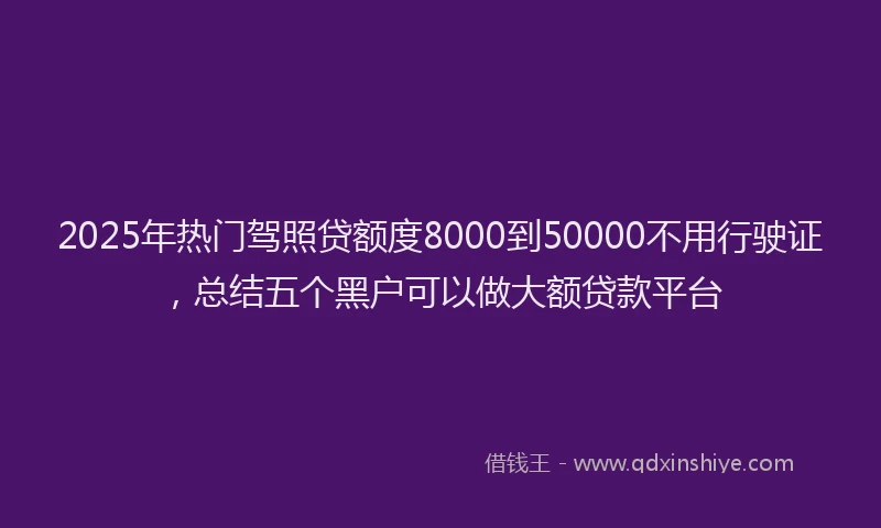 2025年热门驾照贷额度8000到50000不用行驶证，总结五个黑户可以做大额贷款平台