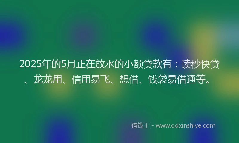 2025年的5月正在放水的小额贷款有：读秒快贷、龙龙用、信用易飞、想借、钱袋易借通等。