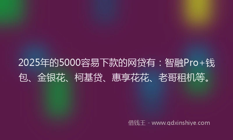 2025年的5000容易下款的网贷有：智融Pro+钱包、金银花、柯基贷、惠享花花、老哥租机等。