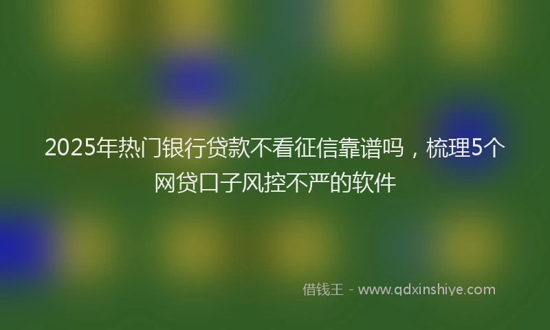 2025年热门银行贷款不看征信靠谱吗,梳理5个网贷口子风控不严的软件