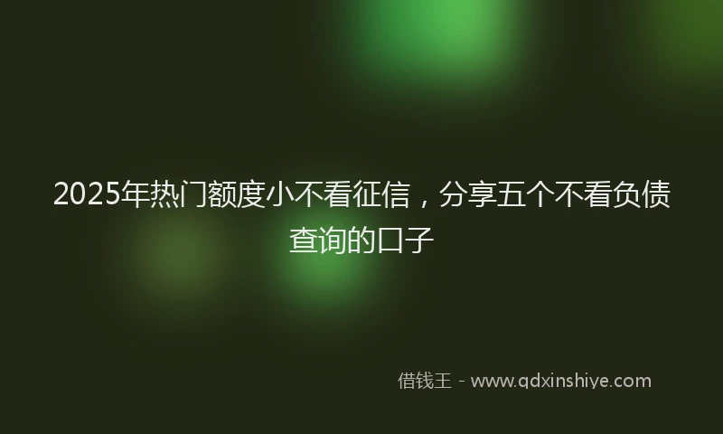 2025年热门额度小不看征信，分享五个不看负债查询的口子