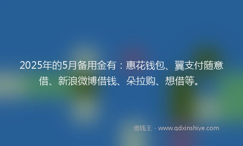 2025年的5月备用金有：惠花钱包、翼支付随意借、新浪微博借钱、朵拉购、想借等。