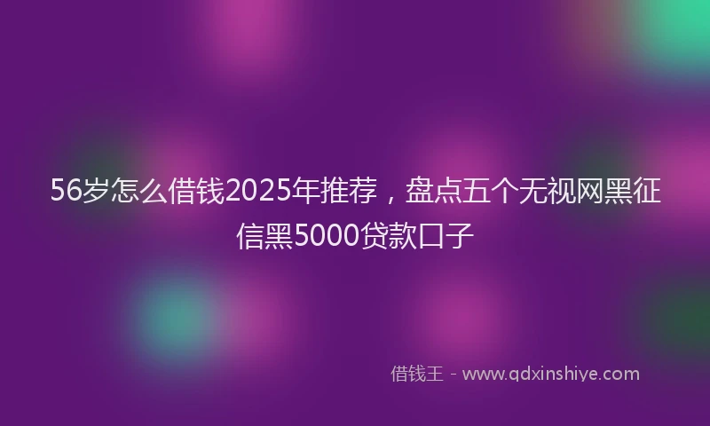 56岁怎么借钱2025年推荐，盘点五个无视网黑征信黑5000贷款口子