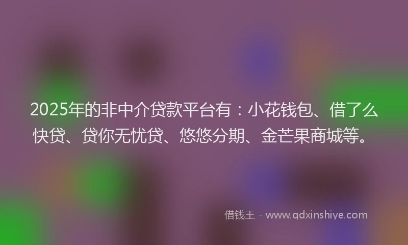 2025年的非中介贷款平台有：小花钱包、借了么快贷、贷你无忧贷、悠悠分期、金芒果商城等。