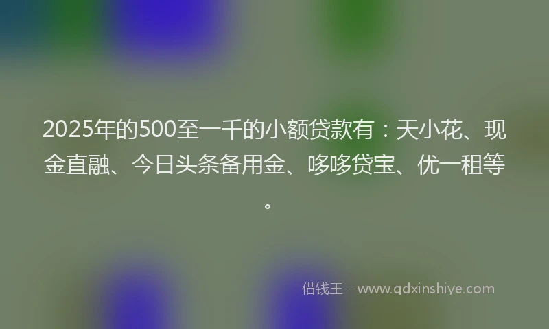 2025年的500至一千的小额贷款有：天小花、现金直融、今日头条备用金、哆哆贷宝、优一租等。