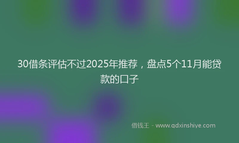 30借条评估不过2025年推荐，盘点5个11月能贷款的口子