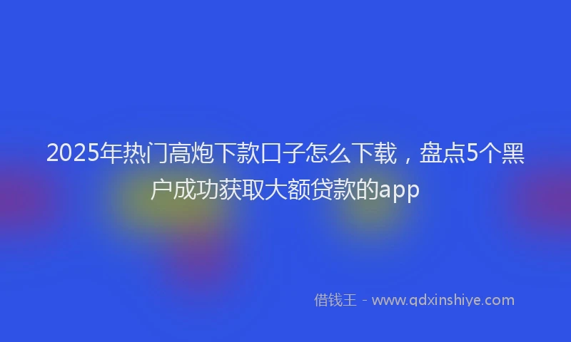 2025年热门高炮下款口子怎么下载，盘点5个黑户成功获取大额贷款的app