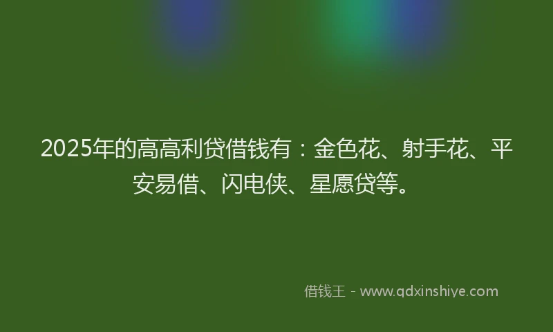 2025年的高高利贷借钱有：金色花、射手花、平安易借、闪电侠、星愿贷等。