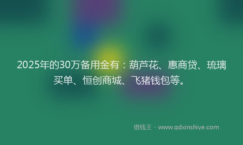 2025年的30万备用金有：葫芦花、惠商贷、琉璃买单、恒创商城、飞猪钱包等。