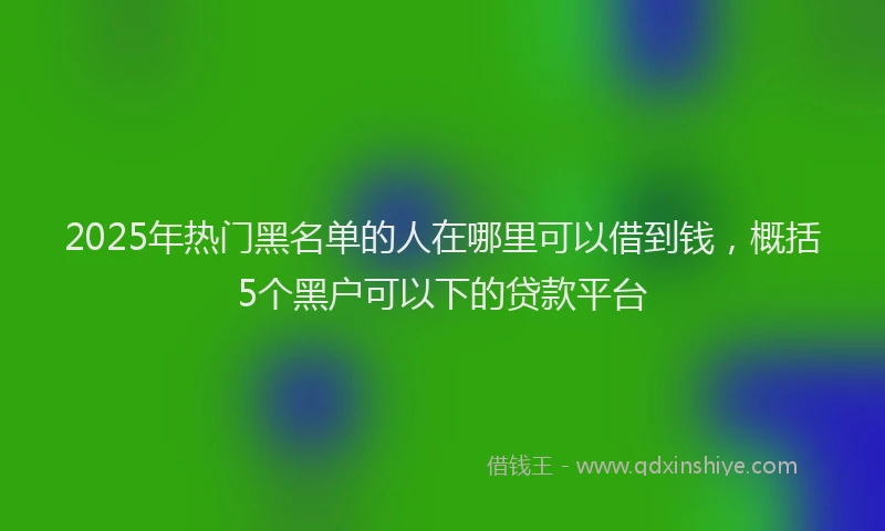 2025年热门黑名单的人在哪里可以借到钱，概括5个黑户可以下的贷款平台