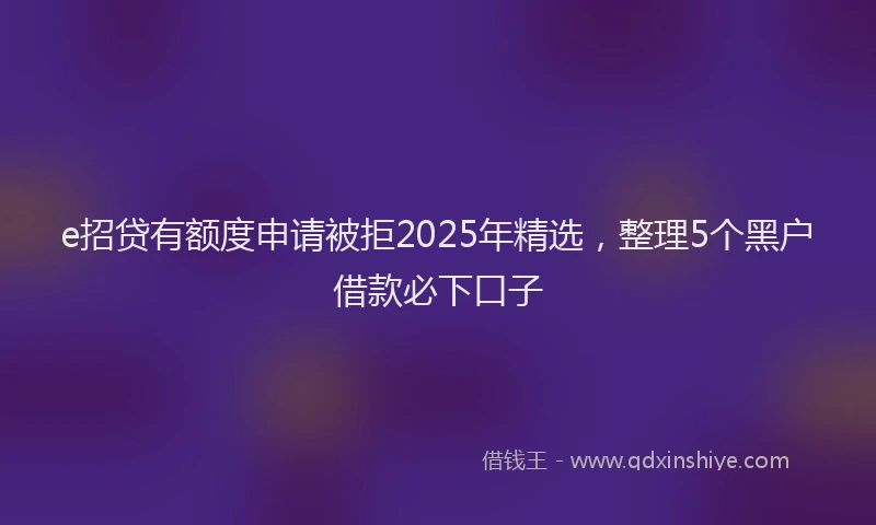 e招贷有额度申请被拒2025年精选，整理5个黑户借款必下口子