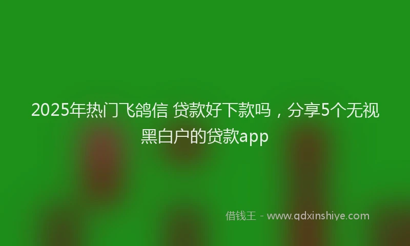 2025年热门飞鸽信 贷款好下款吗，分享5个无视黑白户的贷款app