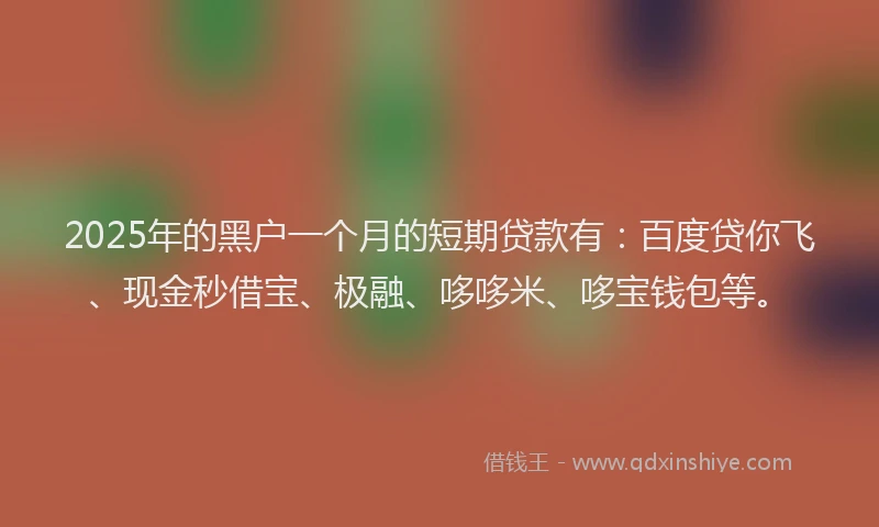 2025年的黑户一个月的短期贷款有：百度贷你飞、现金秒借宝、极融、哆哆米、哆宝钱包等。
