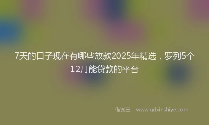 7天的口子现在有哪些放款2025年精选，罗列5个12月能贷款的平台