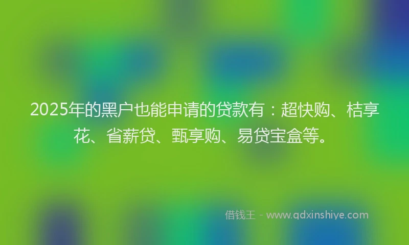 2025年的黑户也能申请的贷款有：超快购、桔享花、省薪贷、甄享购、易贷宝盒等。
