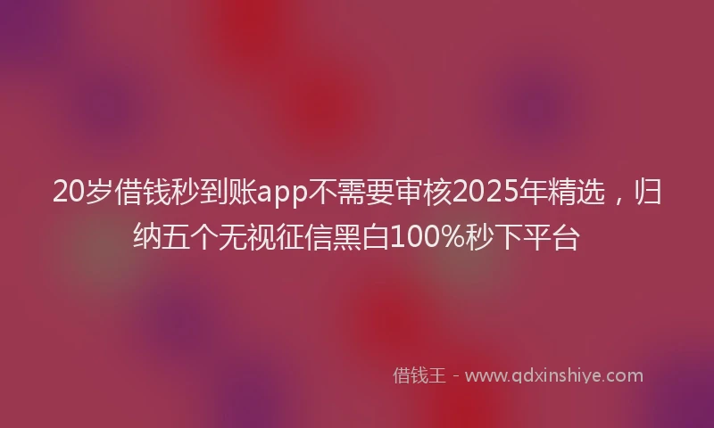 20岁借钱秒到账app不需要审核2025年精选，归纳五个无视征信黑白100%秒下平台