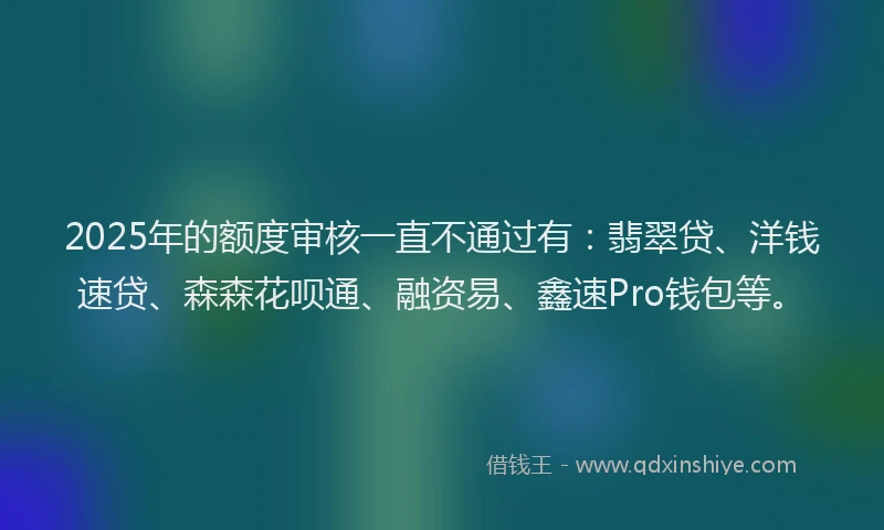 2025年的额度审核一直不通过有：翡翠贷、洋钱速贷、森森花呗通、融资易、鑫速Pro钱包等。